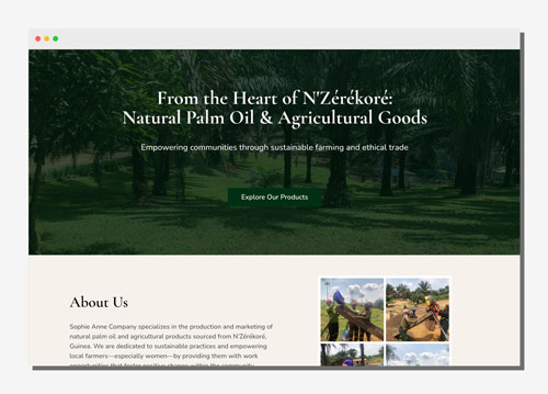 Sophie Anne Company project